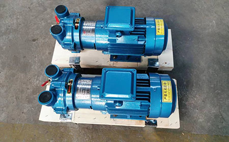 2BV Series Vacuum Pump for Sale